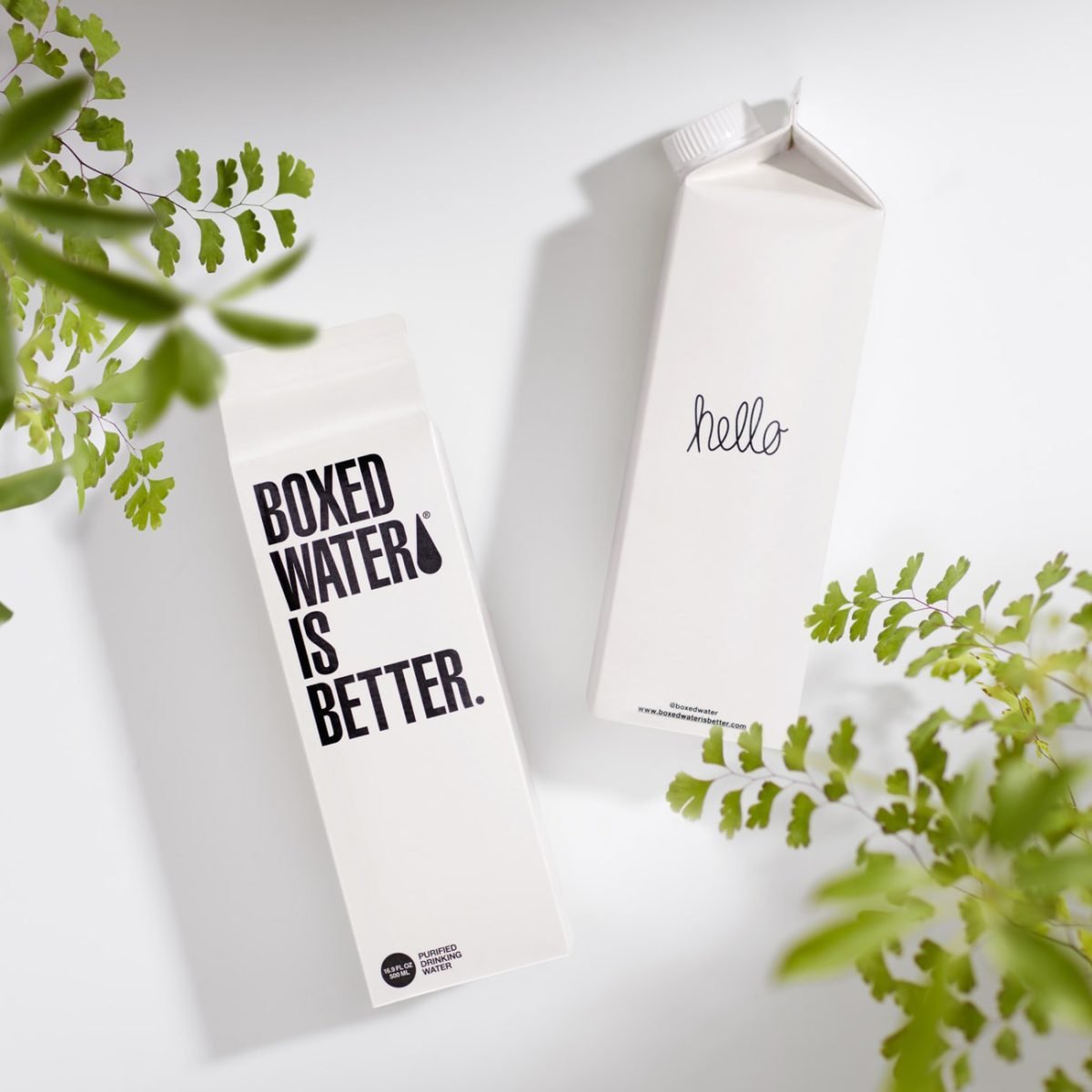 Boxed Water